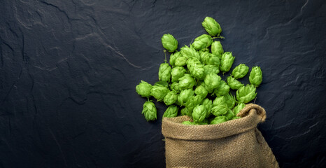 Beer brewing ingredients, hops, scattered out of a fallen sack. Beer brewery concept. Oktoberfest...