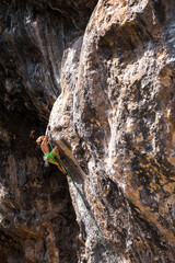 A young athlete climbs a rock