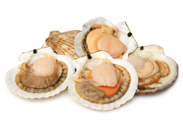 Raw scallops