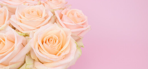 Top view of a bouquet of roses depicted on a pink background. There is a place for congratulations on the right.