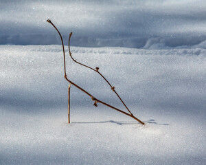 Composition of sticks and the perfect merging of their shadows on the soft texture of the snow....