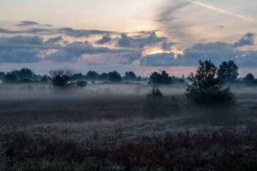 Alba in campagna con nebbia e cielo nuvoloso.