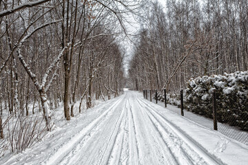 Winter snowy road
