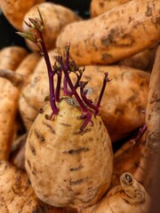 Sweet potatoes