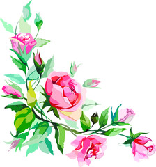 Image composition with roses in color. Watercolor roses
