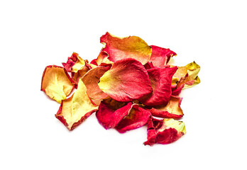 Wilted petals of rose plant isolated on white background.
