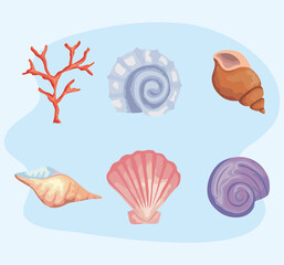 bundle of six sea shells colors set icons vector illustration design