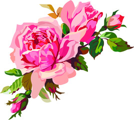 Composition with roses. Watercolor roses.