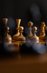 chess pieces on the chessboard