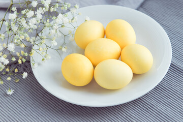Colored yellow eggs on easter, decorated gypsophila flowers on gray cloth background