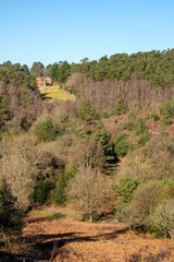 Febuary 2021 Hindhead Common,