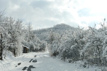 mountain road in the snow in winter