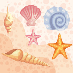 Obraz na płótnie Canvas bundle of six sea shells colors set pattern vector illustration design