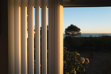 Half open vertical blinds with a golden glow as the sun sets.There is a tree and a view of the sea through the window. - 416810234