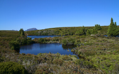 Reflection over two turquoise water ponds surrounded by green grassland and trees against a background of steep rocky mountain summits, The Overland Track, Tasmania, Australia