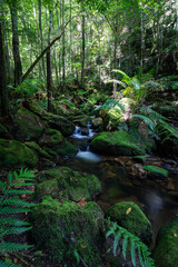 Green rocky moss with small creek in the middle.