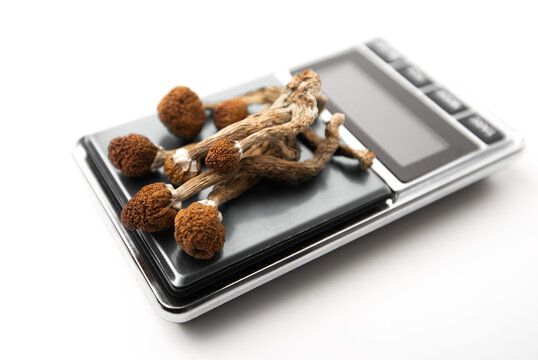 Mushroom Dosing Psilocybin Therapy