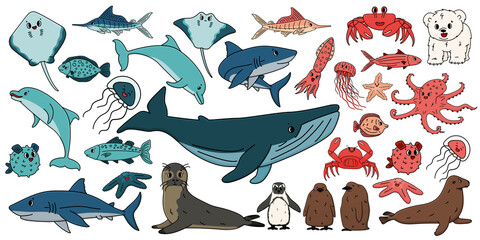 Set of vector cartoon outline isolated sea ocean north animals. Doodle whale, dolphin, shark, stingray, jellyfish, fish, stars, crab, king Penguin chick, octopus, fur seal, polar bear cub for book © essskina