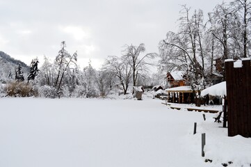 the frozen shore of the lake in winter