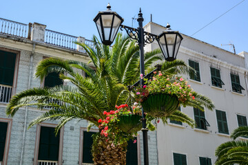 street in the town