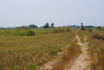 Canicule, sècheresse à la campagne