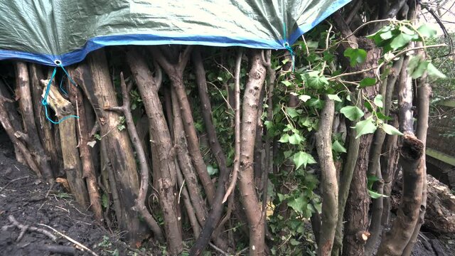 A man building a bushcraft shelter with logs and a tarpaulin 