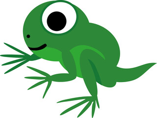 Cartoon green froglet with tail isolated on white background