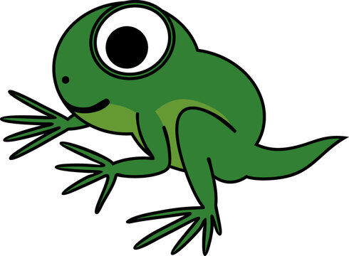 Cartoon green froglet with tail isolated on white background