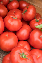 Fresh tomatoes, USA