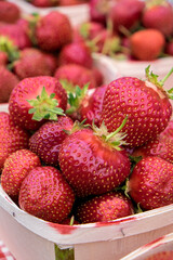 Fresh strawberries, USA