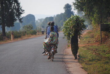 Transport à vélo sur une route, Burundi, Afrique