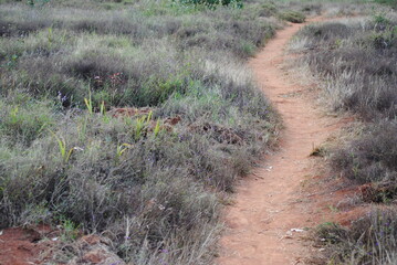Sentier dans la savane, Burundi, Afrique
