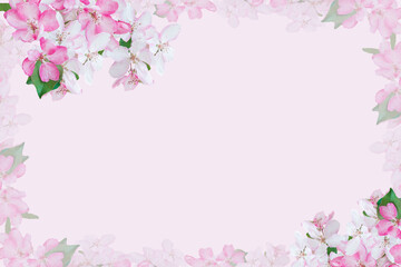 Fototapeta na wymiar Spring blossom frame, toned, flower background, pastel and soft floral card. Flat lay, top view, copy space . Banner