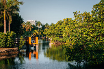 Obraz premium lake river landscape nature sky pier trees palms miami florida usa beautiful green