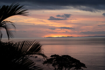 Fiji, Vanua Levu. Palm fronds silhouetted in sunset over the ocean.