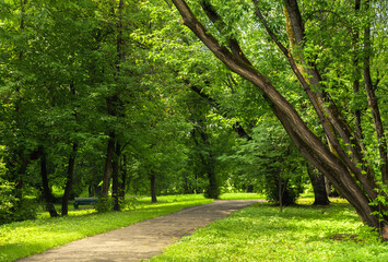 walk in the park