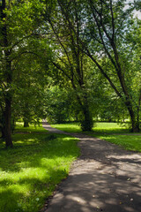 Obraz premium walk in the park