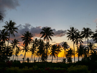 Fototapeta na wymiar Fiji, Taveuni Island. Beach sunset with palm trees.