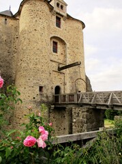 Fototapeta na wymiar Entrée d'une forteresse médiévale. Vendée, France