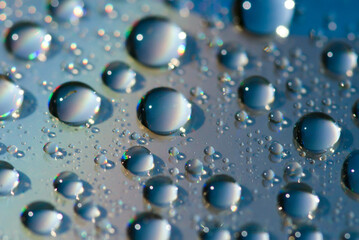 drops on plants in the morning