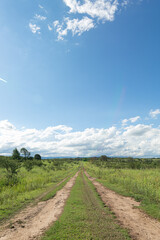 Sunny afternoon, field. White clouds from the blue sky.