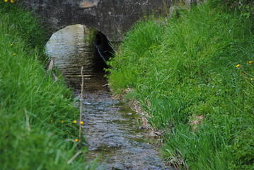 Petit ruisseau avec pont avec les deux rives pleines d'herbes vivaces