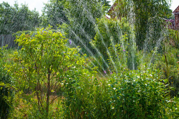 Fototapeta na wymiar Sprinkler in the garden
