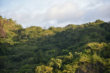 Fototapeta premium Green landscapes of Panama Canal, view from transiting ship.