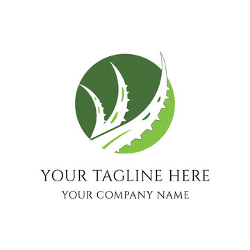 aloe vera logo vector design, aloe vera icon with aloe vera plant