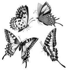 Set with butterflies. Monochrome selection isolated on white background
