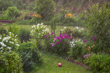 Heavy rain in the garden