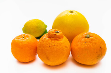 柑橘類いろいろ