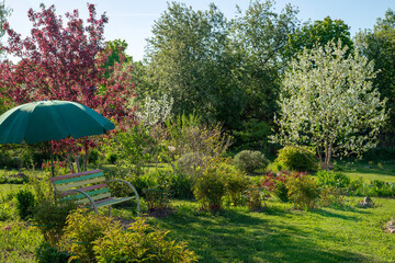 Spring blooming garden. A wooden bench stands under an umbrella from the sun. A seating area in your garden.