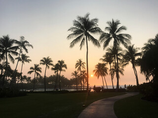 Obraz na płótnie Canvas Hawaii | Gathering at sunset
